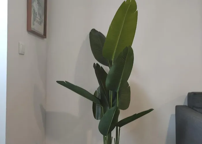 Fisherman's * 蒙蒂茹